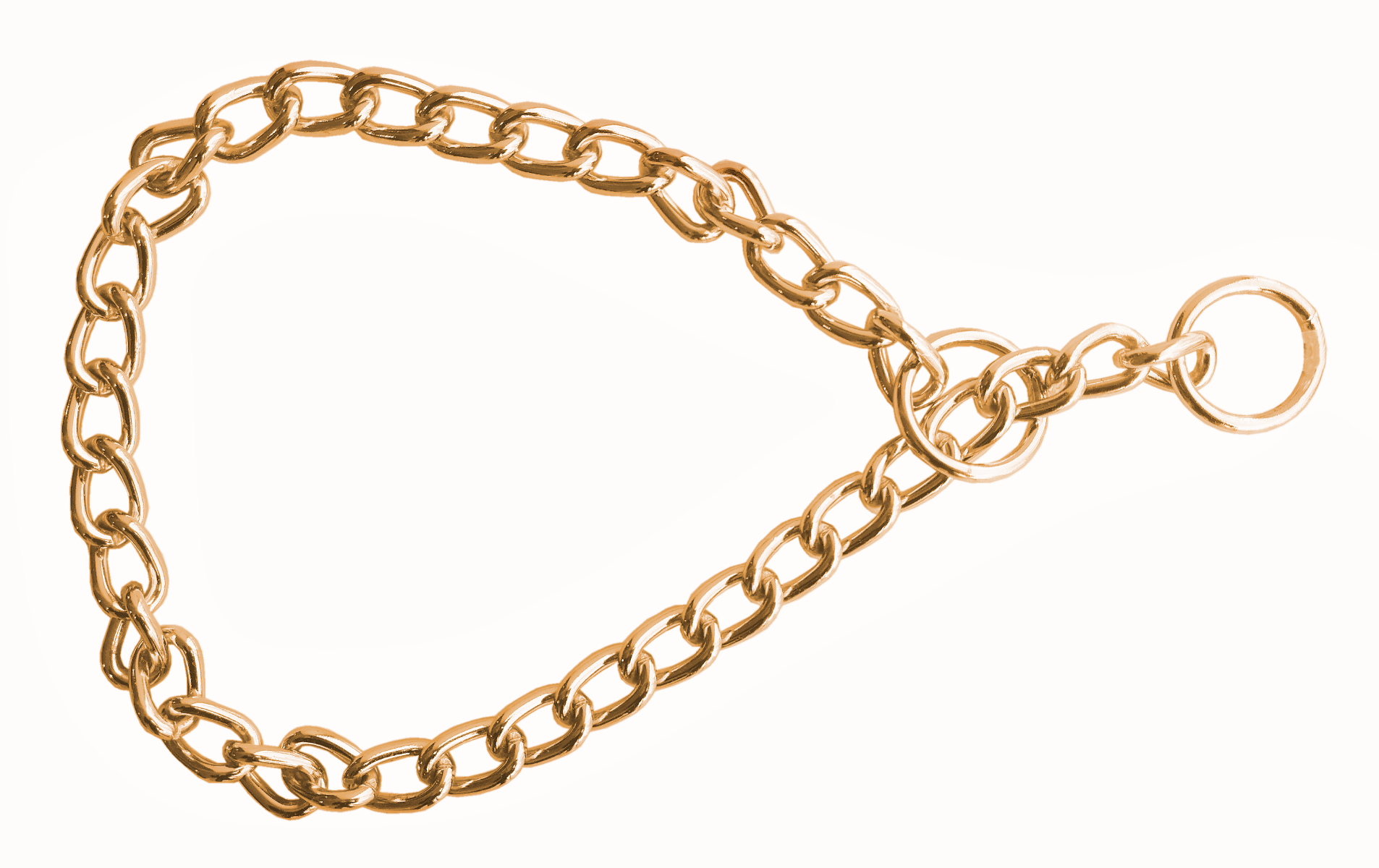 Eğitim Serisi li Köpek Boyun Tasması 3,5x55 cm - Gold - Görsel 2