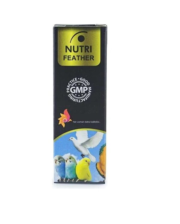 Kan B mini -  Dökümü İçindir - Feather