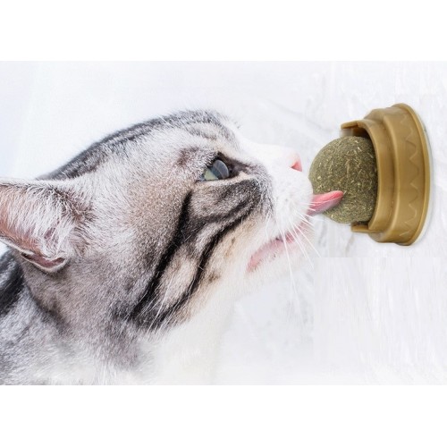 Kedi Nanesi Oyun Topu - Görsel 3