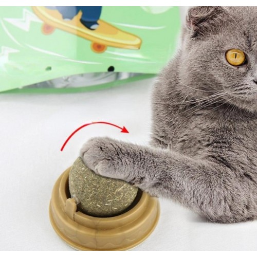 Kedi Nanesi Oyun Topu - Görsel 4