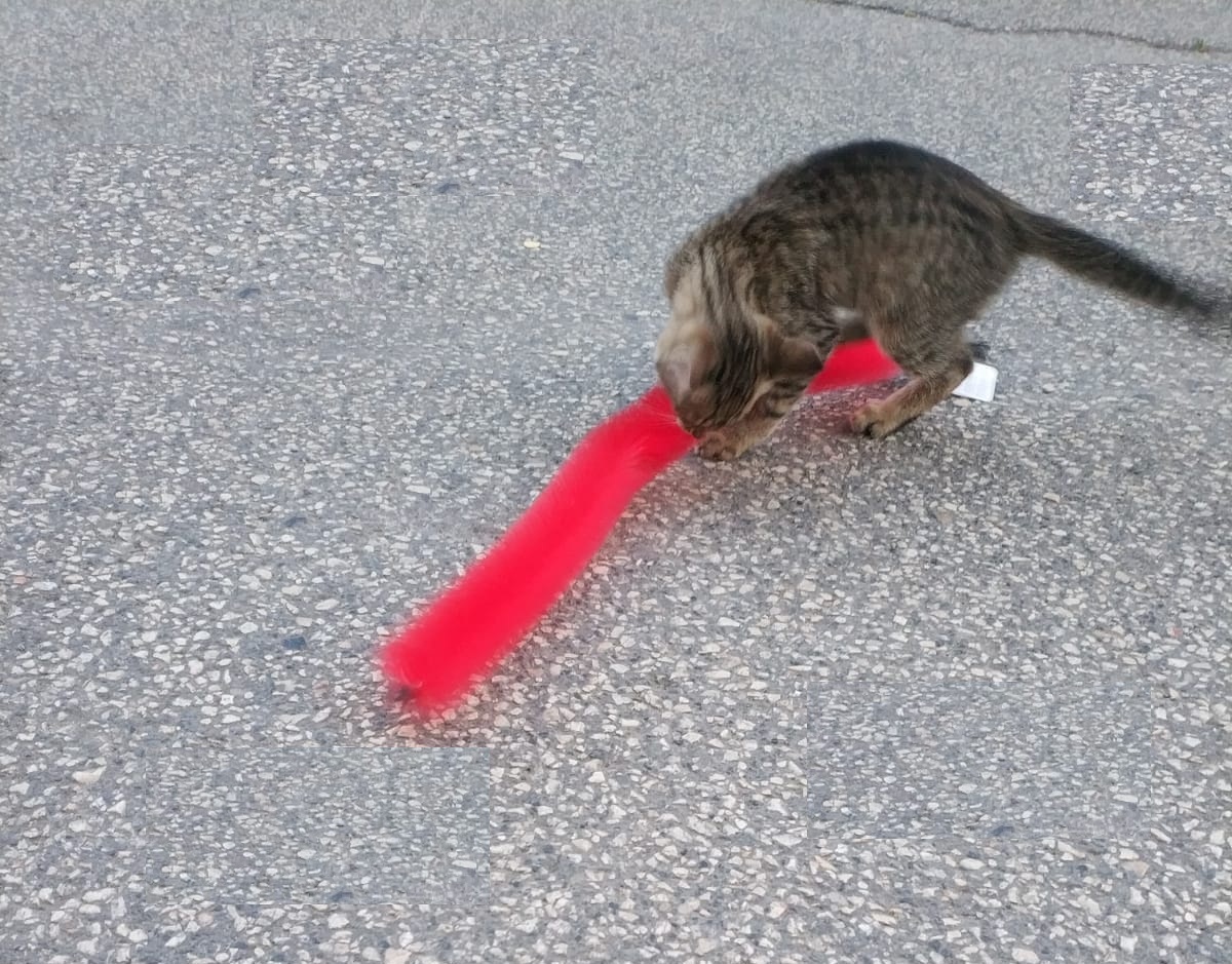 Kedi Tırmalama Fırçası - Kedi Oyuncağı - Görsel 4