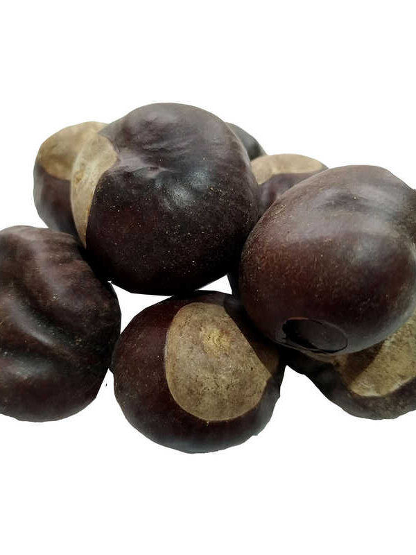 At Kestanesi Meyvesi Doğal 100 Gr Paket