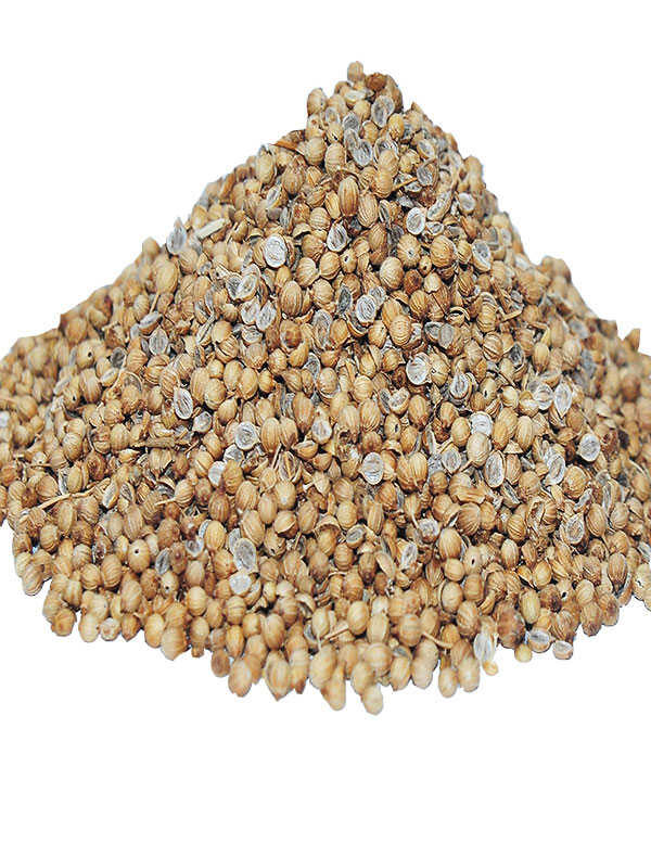 Kişniş Doğal Tane 1000 Gr Paket