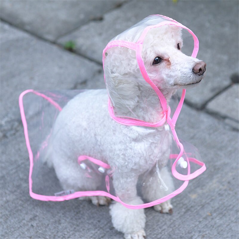 Köpek Yağmurluğu -Sarı - (Small) - Görsel 3