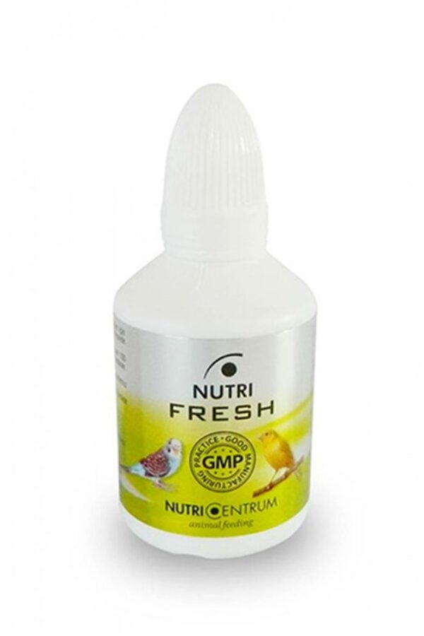 Güvercin İçin  Destek - Fresh