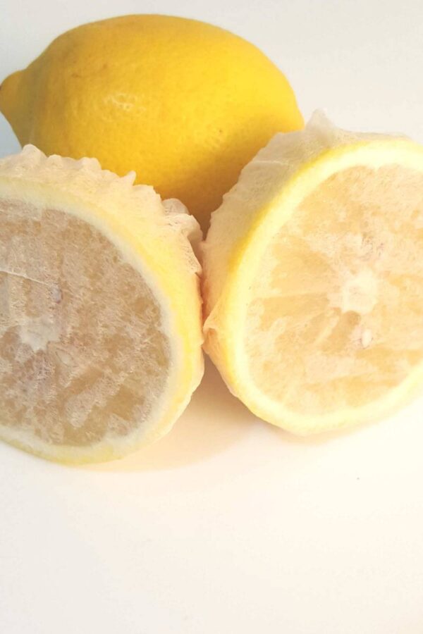 Limon Bonesi / 250 Adet /  ı Bonesi