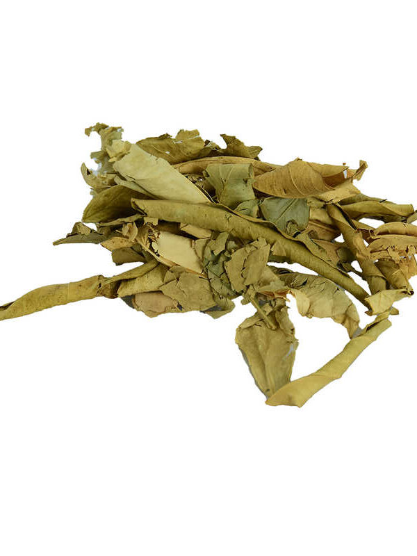 Tç Yaprağı Doğal 100 Gr Paket