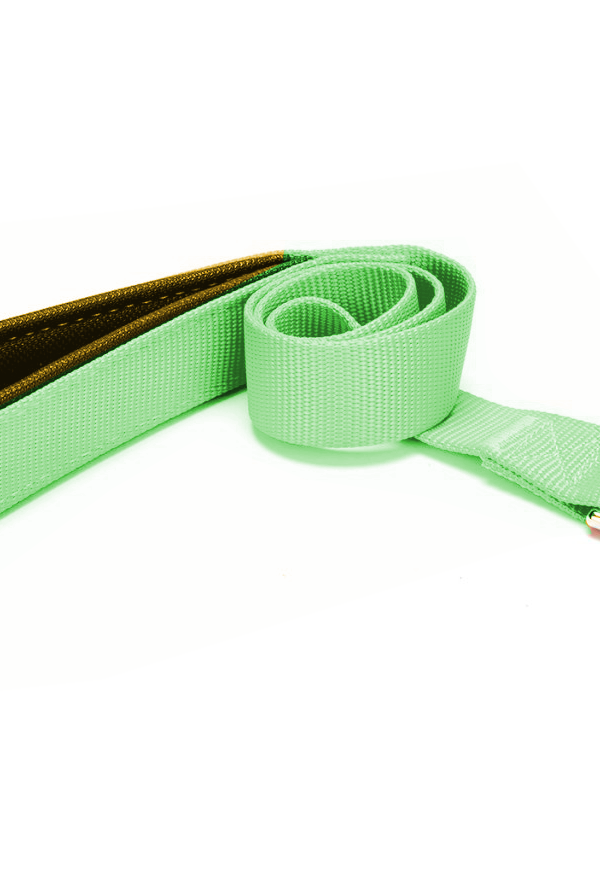 Köpek Gezdirme Kayışı 2 cm x 115 cm Yeşil