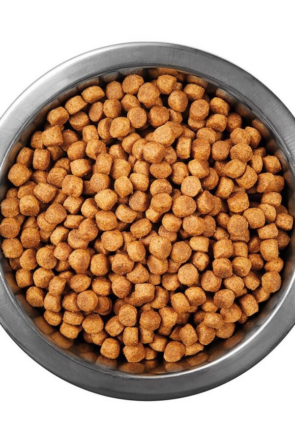 Tuklu Yetişkin Kedi sı 1 kg
