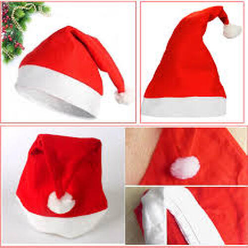 Polar Noel Baba sı