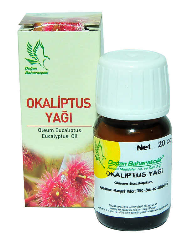 Okaliptus Yağı 20 cc