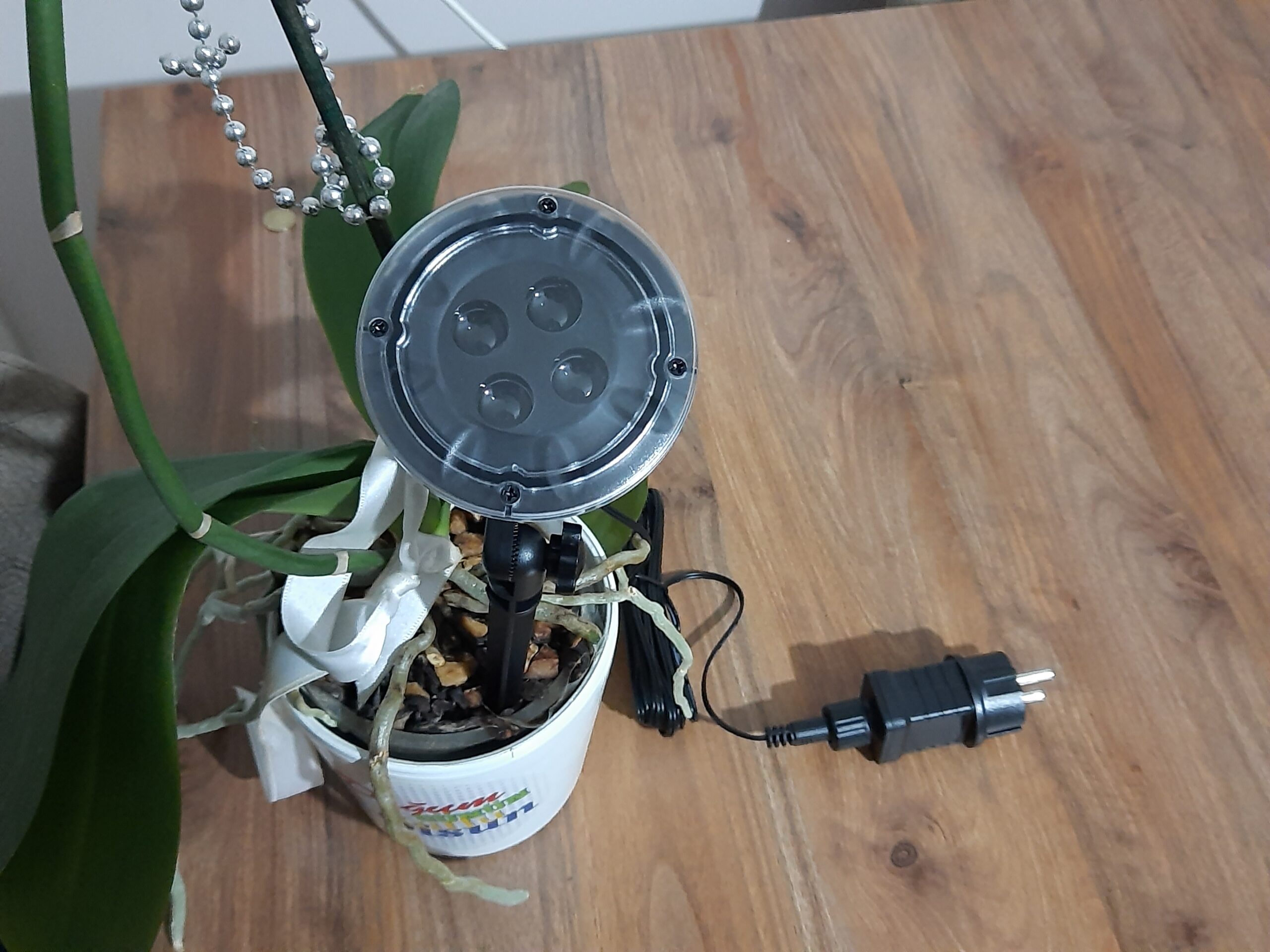 Peri Led Işık 5 metre BEYAZ Dekor Lambası 50 Ledli - Görsel 5