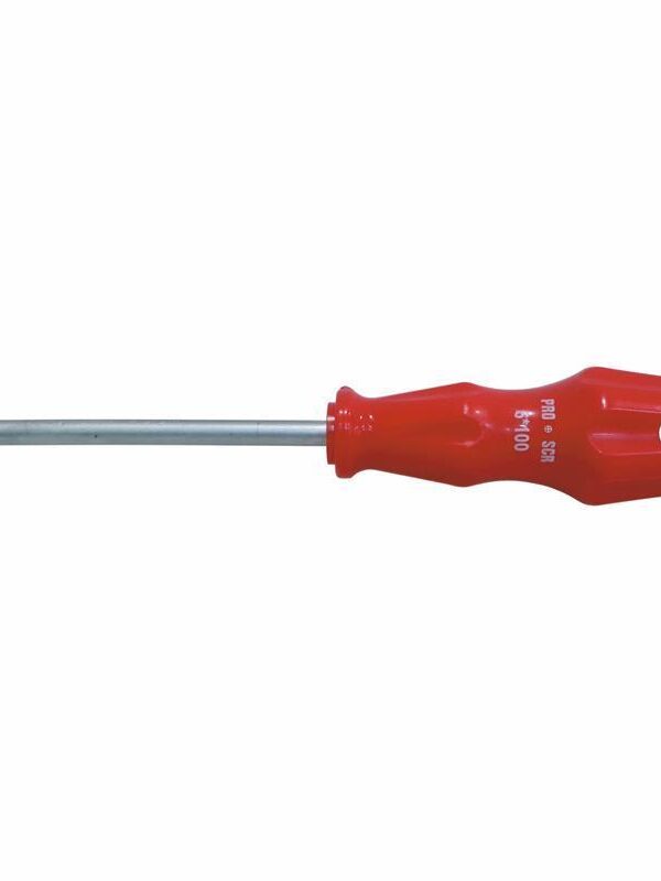 Pro-Scr 02581 Yıldız Uçlu Tornida 6X100 mm