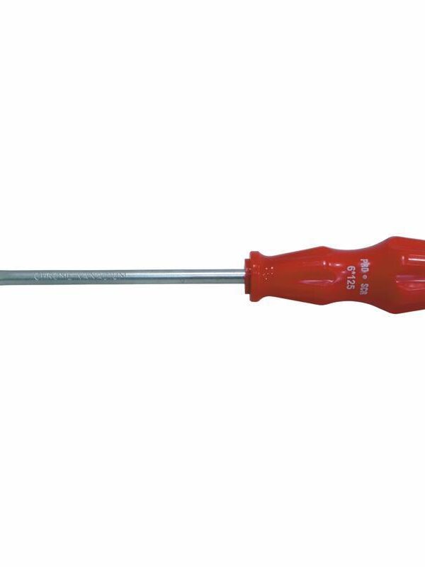 Pro-Scr 02613 Düz Uçlu Tornida 4X125 mm