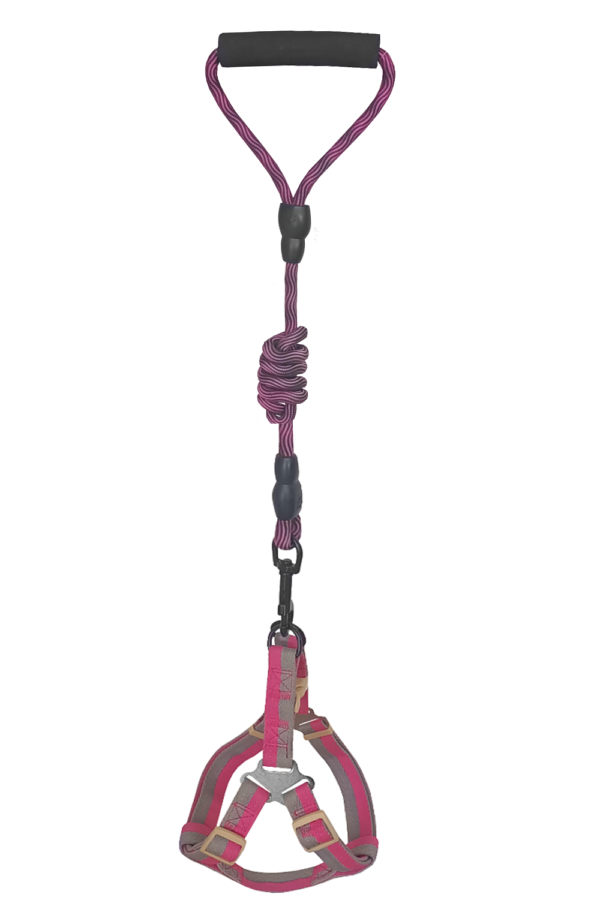 Köpek Göğüs Tasma Seti Daa Desenli 2 cm*40-58 cm Mor-Pembe
