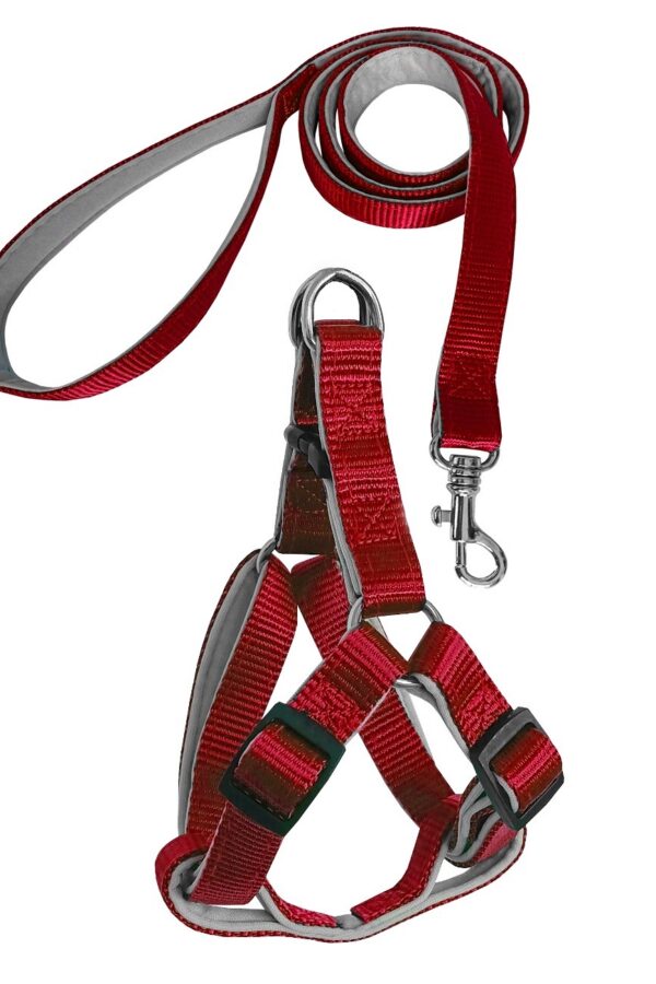Gezdirme Kayışlı Dokuma Köpek Göğüs Tasma Seti 52*73-110 cm Kırmızı