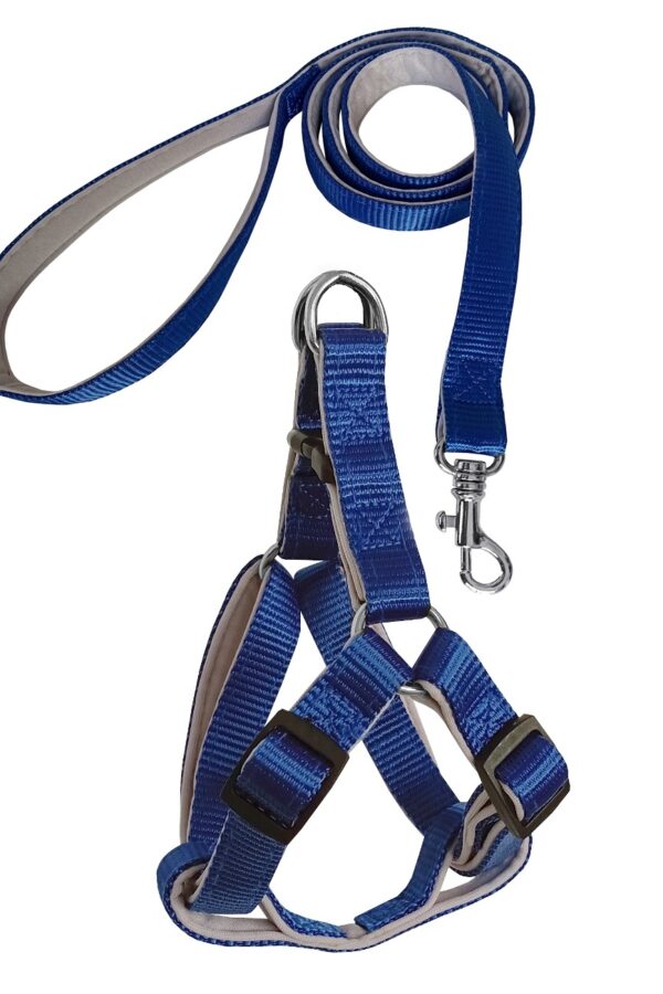 Gezdirme Kayışlı Dokuma Köpek Göğüs Tasma Seti 52*73-110 cm Mi