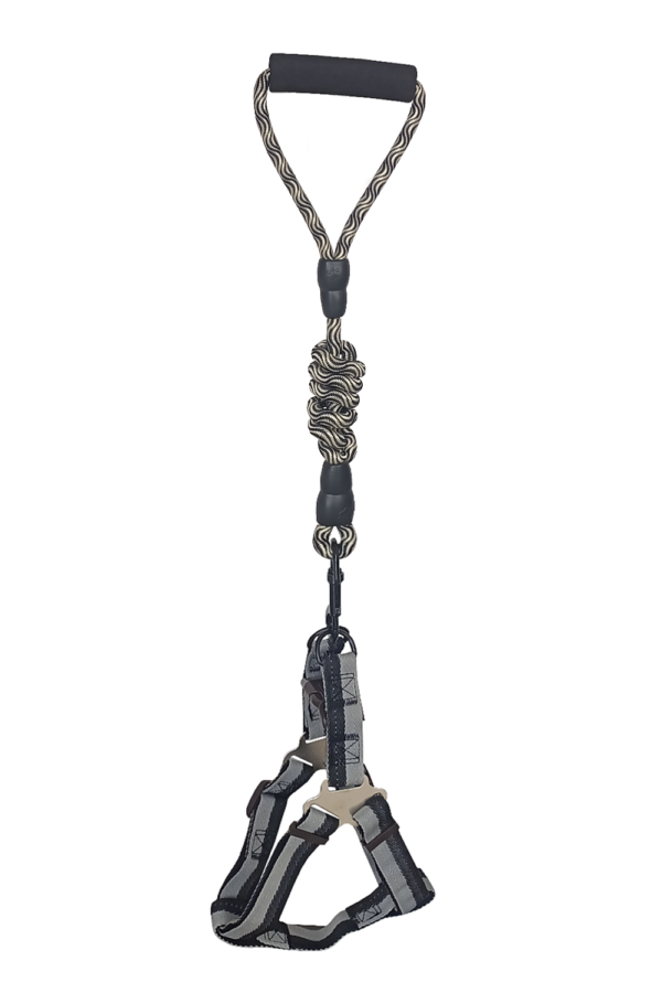 Köpek Göğüs Tasma Seti Daa Desenli 1.5 cm*35-48 cm Siyah-Beyaz