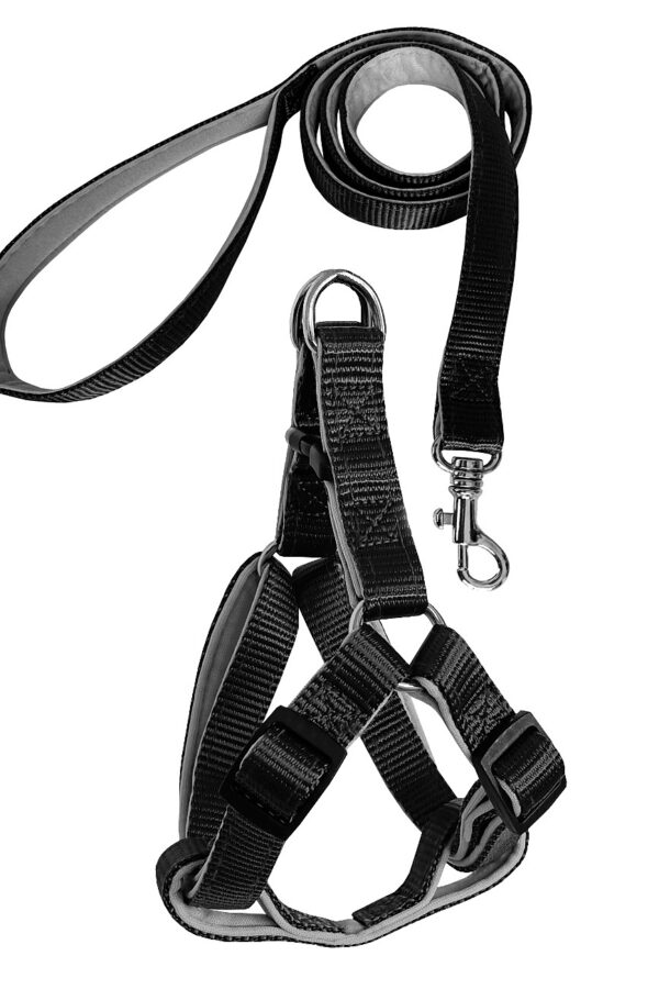 Gezdirme Kayışlı Dokuma Köpek Göğüs Tasma Seti 52*73-110 cm Siyah