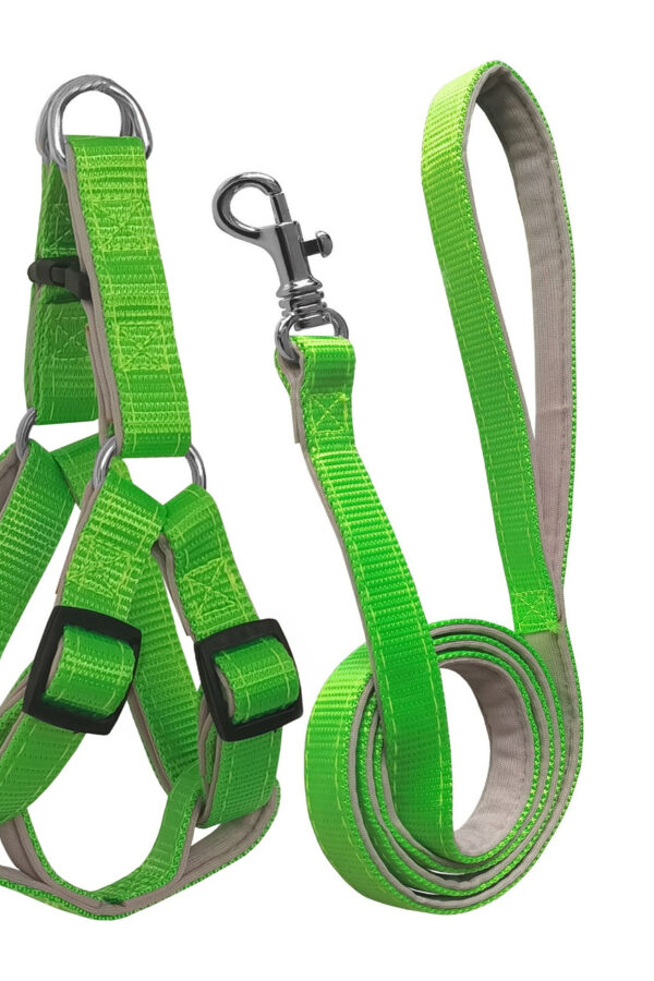 Gezdirme Kayışlı Dokuma Köpek Göğüs Tasma Seti 52*73-110 cm Neon Yeşil