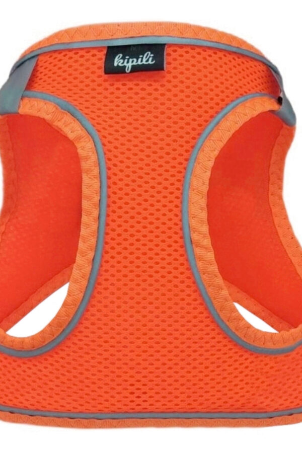 Üç Kilitli Sportif Kedi Köpek Göğüs Tasması 24-28 cm XX-Small Tcu
