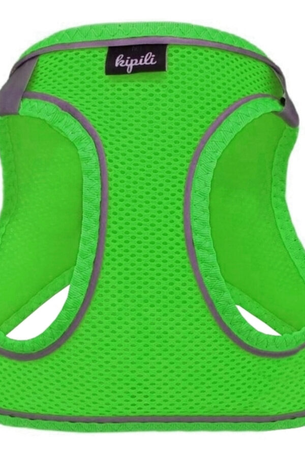 Üç Kilitli Sportif Kedi Köpek Göğüs Tasması 20-24 cm -Small Yeşil