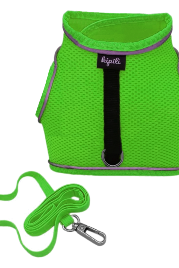 Çift Kilitli Sportif Kedi Köpek Göğüs Tasma Seti 30-38 cm Small Yeşil