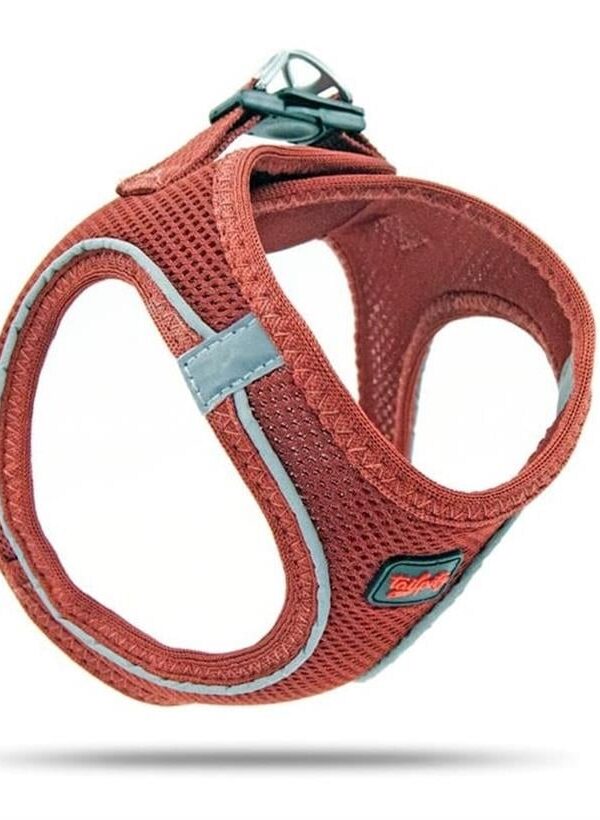 Köpek Göğüs Tasması 3XSmall 24-28 cm Claret