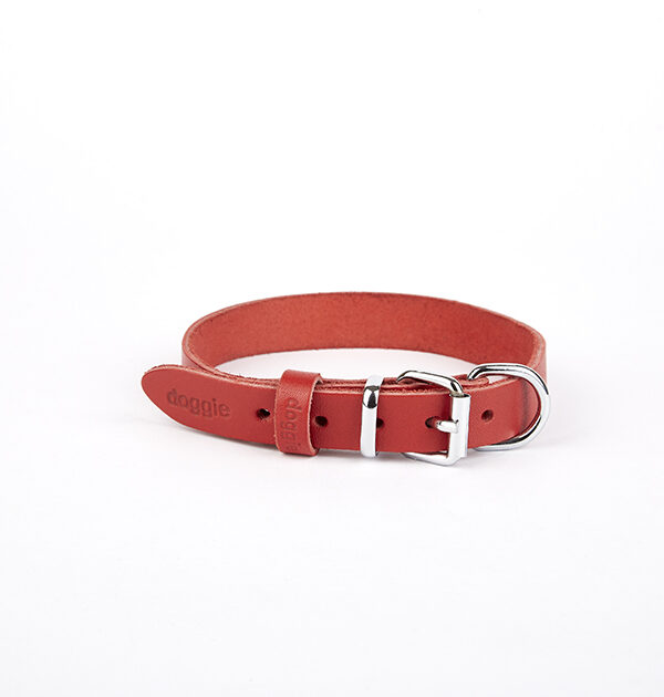 Deri El Yapımı Köpek Boyun Tasması 2x30-35 cm Kırmızı