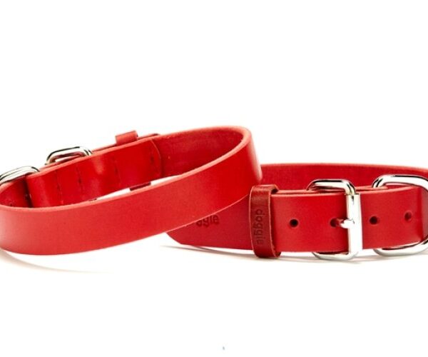 Deri El Yapımı Köpek Boyun Tasması 1,5x32-37 cm Kırmızı