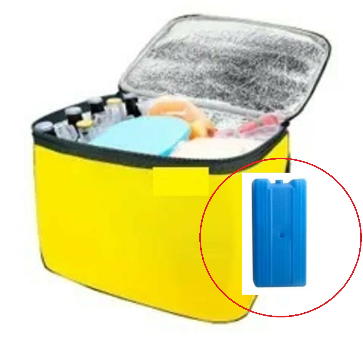 Termos Çanta - Piknik Çantası Buz Aküsü li 24LT - Görsel 3