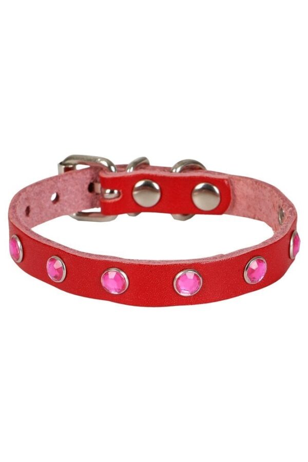 Taşlı Kedi ve Yru Köpek Tasması 1,5x29 cm Kırmızı XLarge