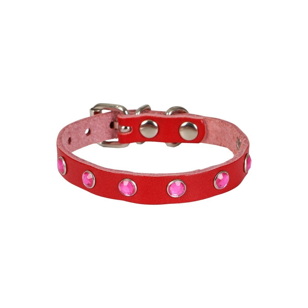 Taşlı Kedi ve Yru Köpek Tasması 1,0x19 cm Kırmızı Small - Görsel 2