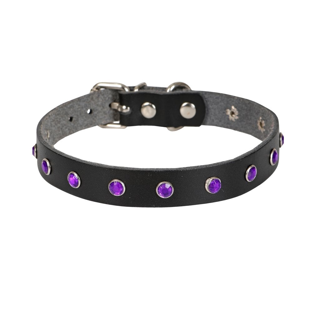 Taşlı Kedi ve Yru Köpek Tasması 1*23 cm Mi Medium - Görsel 5