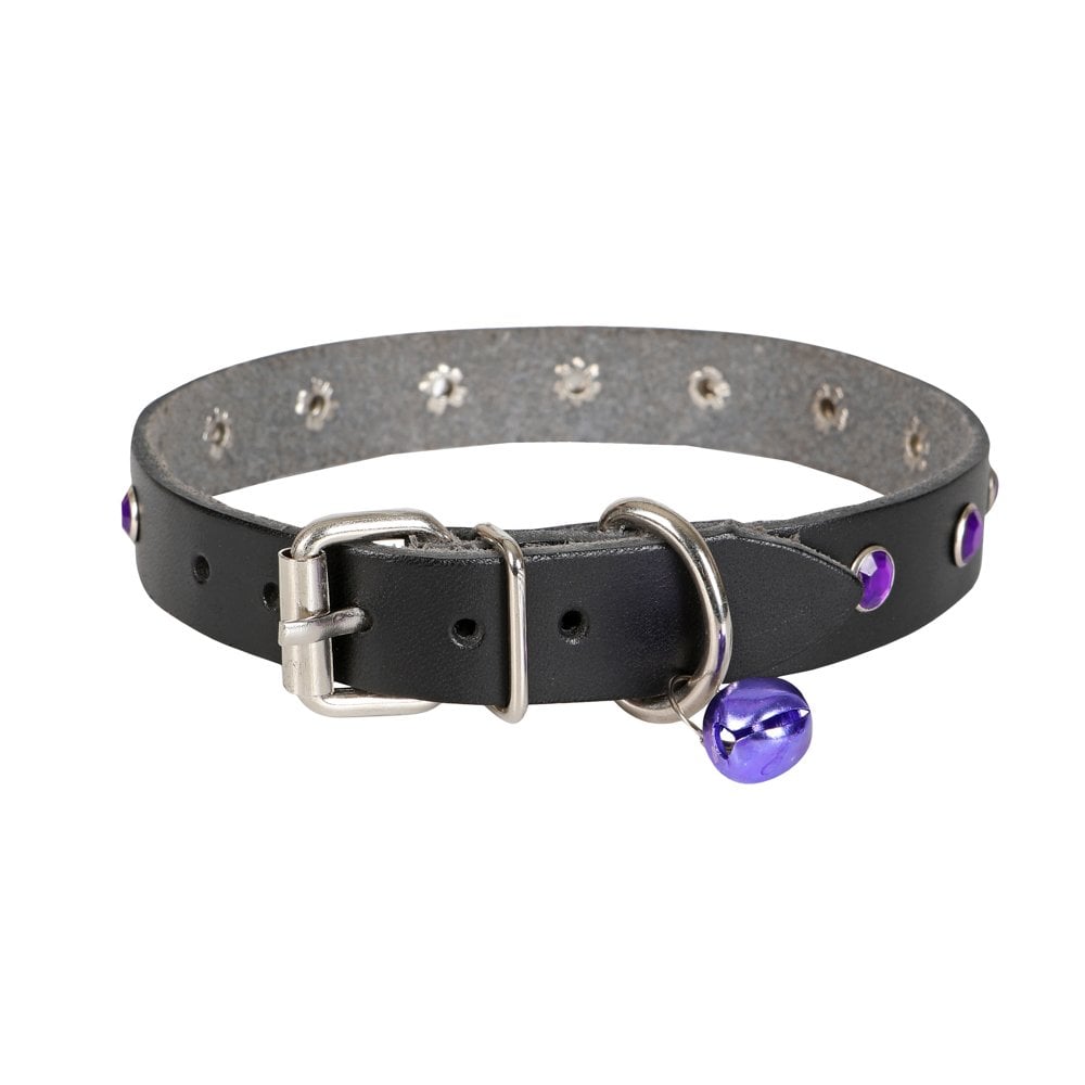Taşlı Kedi ve Yru Köpek Tasması 1*23 cm Mi Medium - Görsel 4