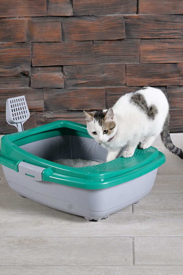 Karamel Izgaralı Açık Kedi Tuvaleti Çeşitli Renklerde + Kürek li