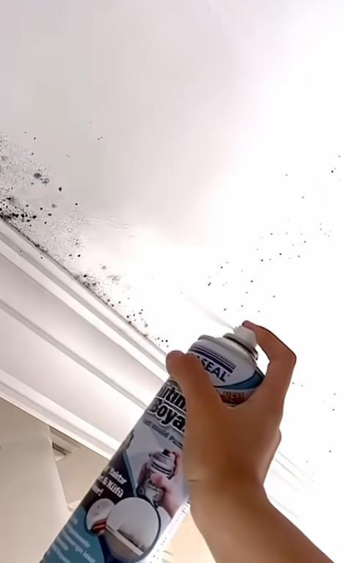 Anti Küf Yalıtım Boyası Sprey 500 ml - Görsel 2