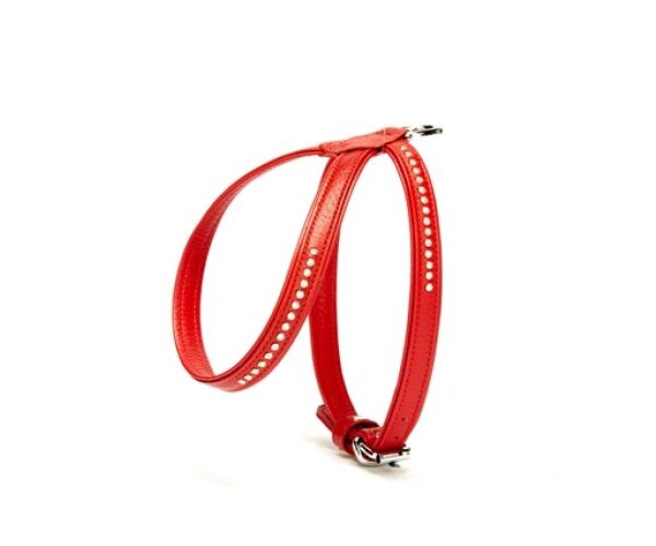 Taşlı Deri Köpek Göğüs Tasması 1,2 x 21-30 cm Kırmızı
