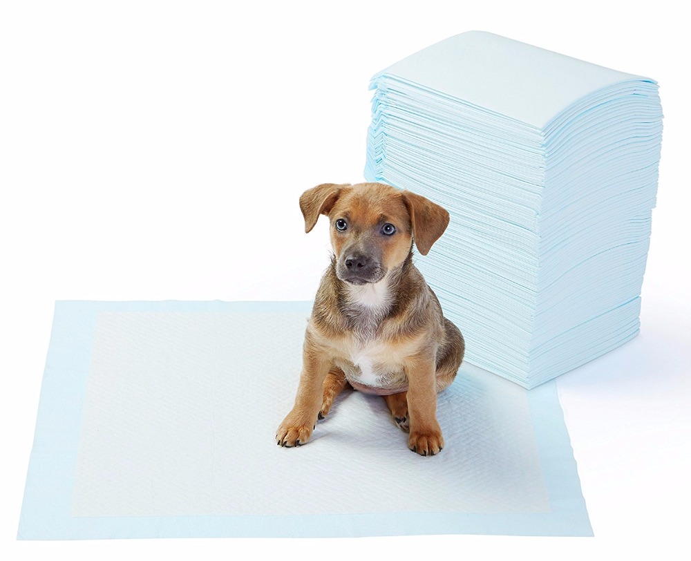 Yıkanabilir Köpek Çiş Pedi - 100 X 100 Cm 5li Paket - Görsel 3