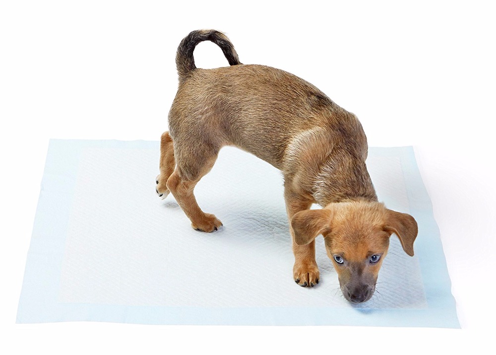 Yıkanabilir Köpek Çiş Pedi - 100 X 100 Cm 5li Paket - Görsel 4