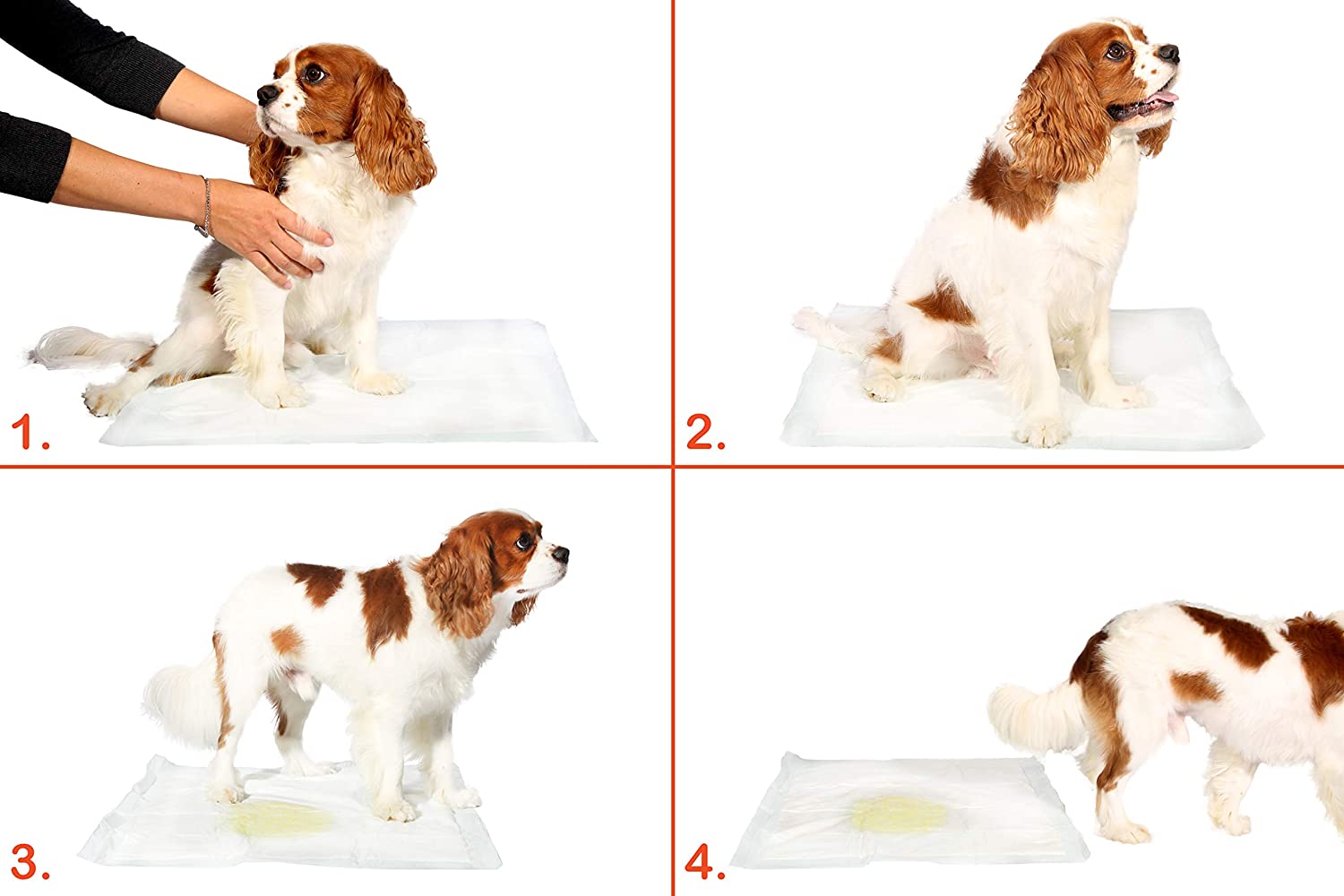 Yıkanabilir Köpek Çiş Pedi - 90 X 60 Cm 5li Paket - Görsel 2
