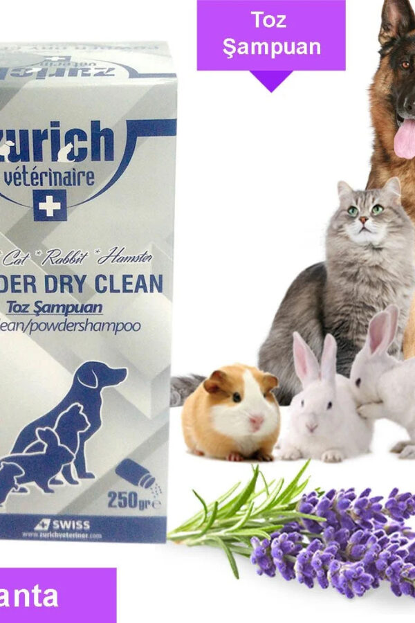 Powder Clean Toz Şampuan 250 Gr Lanta Kokulu