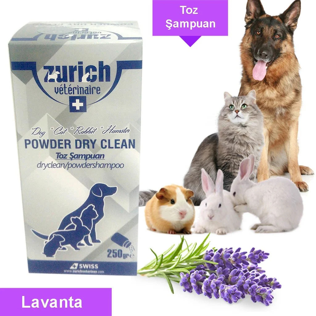 Powder Clean Toz Şampuan 250 Gr Lanta Kokulu