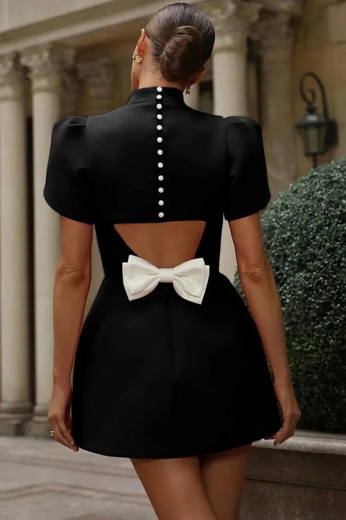 Kadın Kısa Kollu Balıkçı Yaka Arkadan Kelebek Dekolte Detaylı Kısa Atlas Elbise - Görsel 5