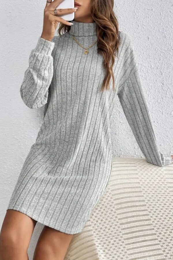 Kadın Uzun Kollu Balıkçı Yaka Kısa şardonlu Kaşkorse Elbise