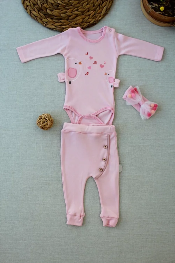 3-6 6-9 9-12 Ay Şarkıcı Kuşlar Nakışlı Bandanalı Uzun Kollu Zıbınlı 3lü Kız Bebek Takımı