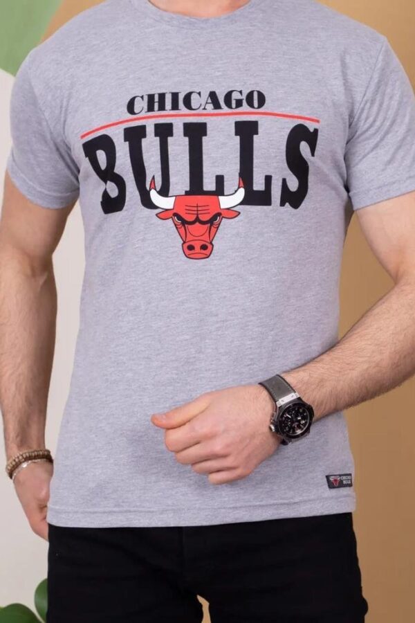 Erkek Kısa Kollu Chicago Bulls Baskılı Tişört