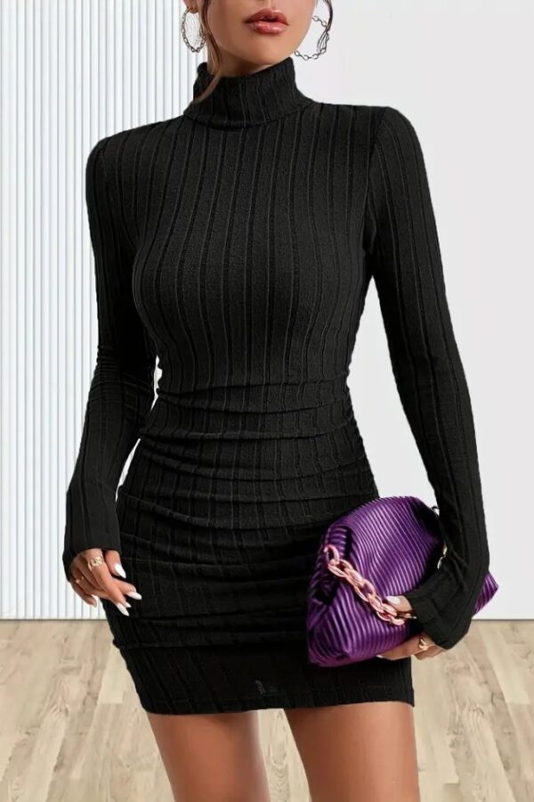 Kadın Uzun Kollu Balıkçı Yaka Kısa şardonlu Kaşkorse Elbise