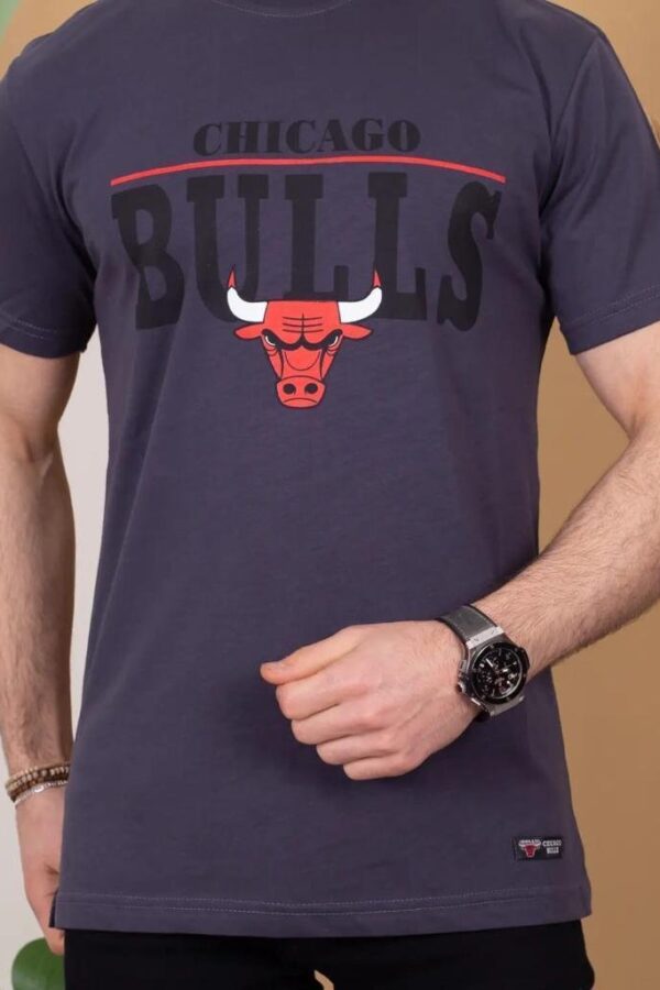 Erkek Kısa Kollu Chicago Bulls Baskılı Tişört