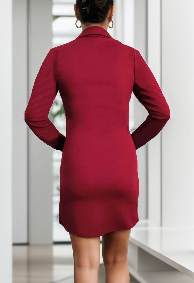 Kadın Uzun Kollu Polo Yaka ön Kısım çıtçıtlı Düğme Detay Scuba Krep Mini Boy Elbise - Görsel 14